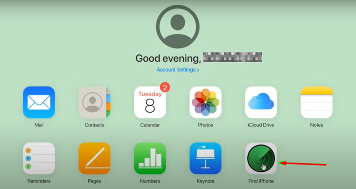From the next screen, click Find iPhone