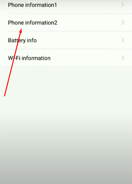 Select “Phone Information” from the menu that will appear