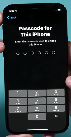 Type your passcode and start the process