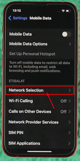 Network Selection