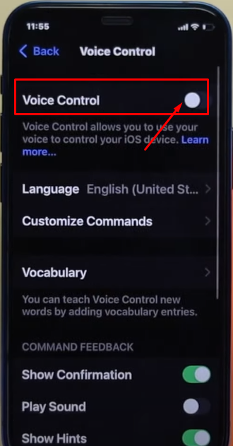  Finally, toggle on the voice control.