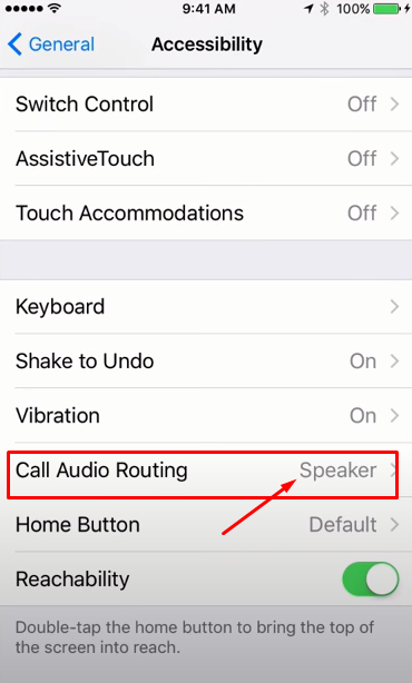 Next, tap on the call audio routing