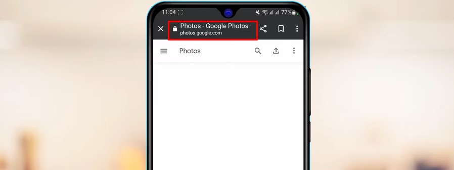 Enter the photos.google.com from your PC