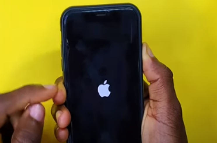 Turn the device back on by pressing the side button till you see the apple logo