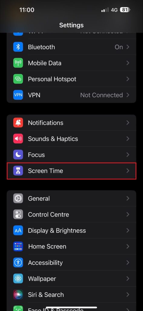 settings” and look for “screen time