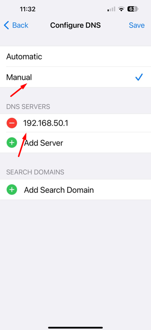 Choose Manual and then delete the existing DNS