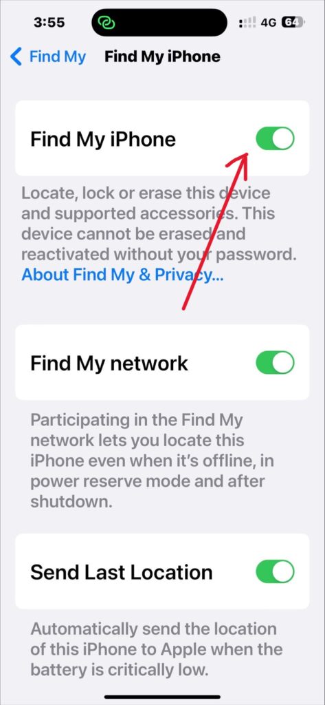 ensure the Find My iPhone is on